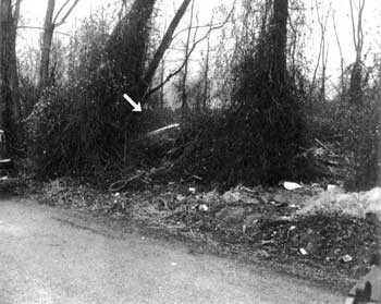 location where the boy in the box body was found